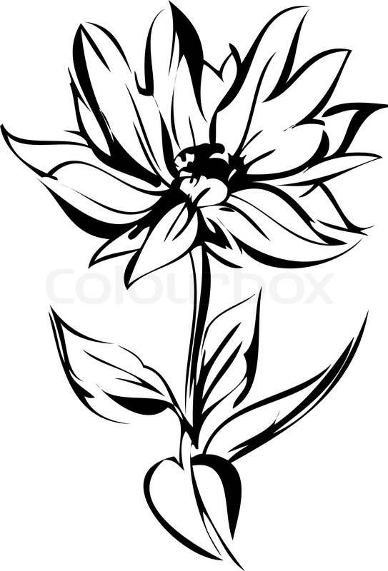 543x800 Sketch Of Blossoming Out Flower On A Stem Stock Vector Colourbox - Stem Sketch