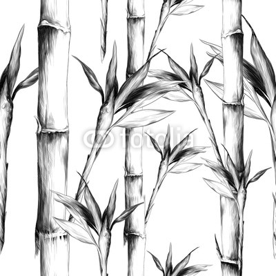 400x400 Leaves Branches Stem Bamboo Pattern Flowers Texture Frame Seamless - Stem Sketch