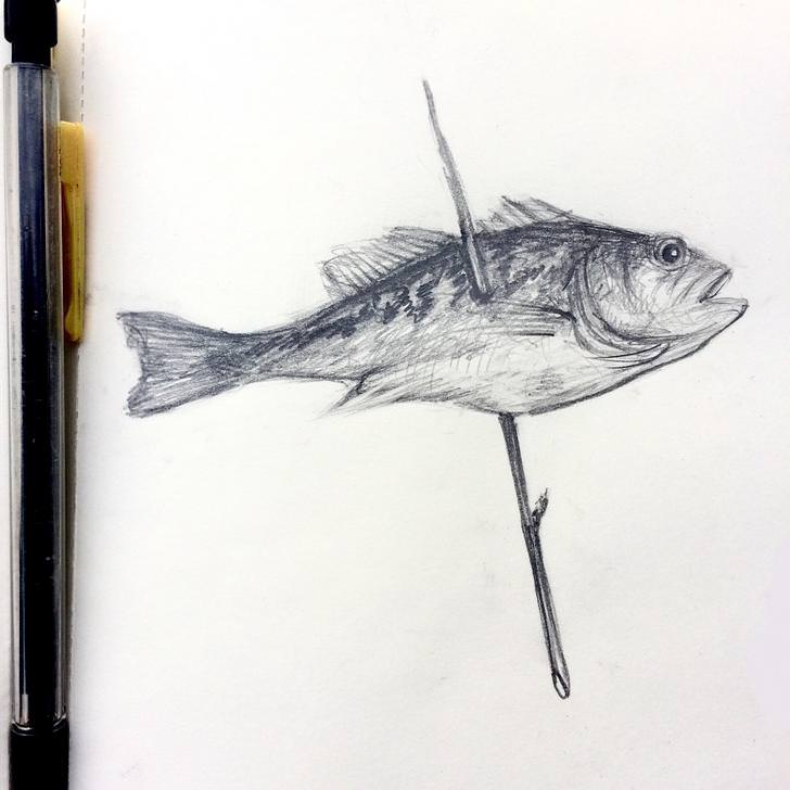 728x728 Fish Stick Sketch - Stick Sketch