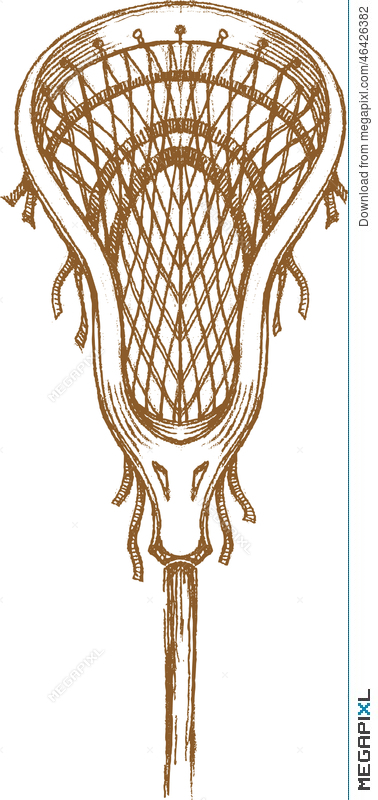 378x800 Lacrosse Sports Stick Sketch Illustration 46426382 - Stick Sketch