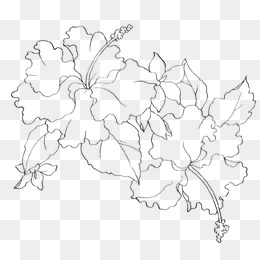 260x260 The Beggar Of The Stick, Sketch, Pencil Drawing, Sticks Png Image - Stick Sketch