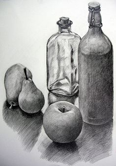 236x337 503 Best Still Life Sketch Images In 2018 Pencil - Still Life Pencil Sketch