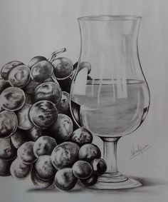 236x283 Still Life Drawings - Still Life Sketching Images