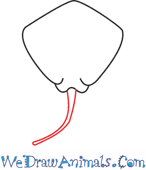 300x350 How To Draw A Stingray - Stingray Sketch