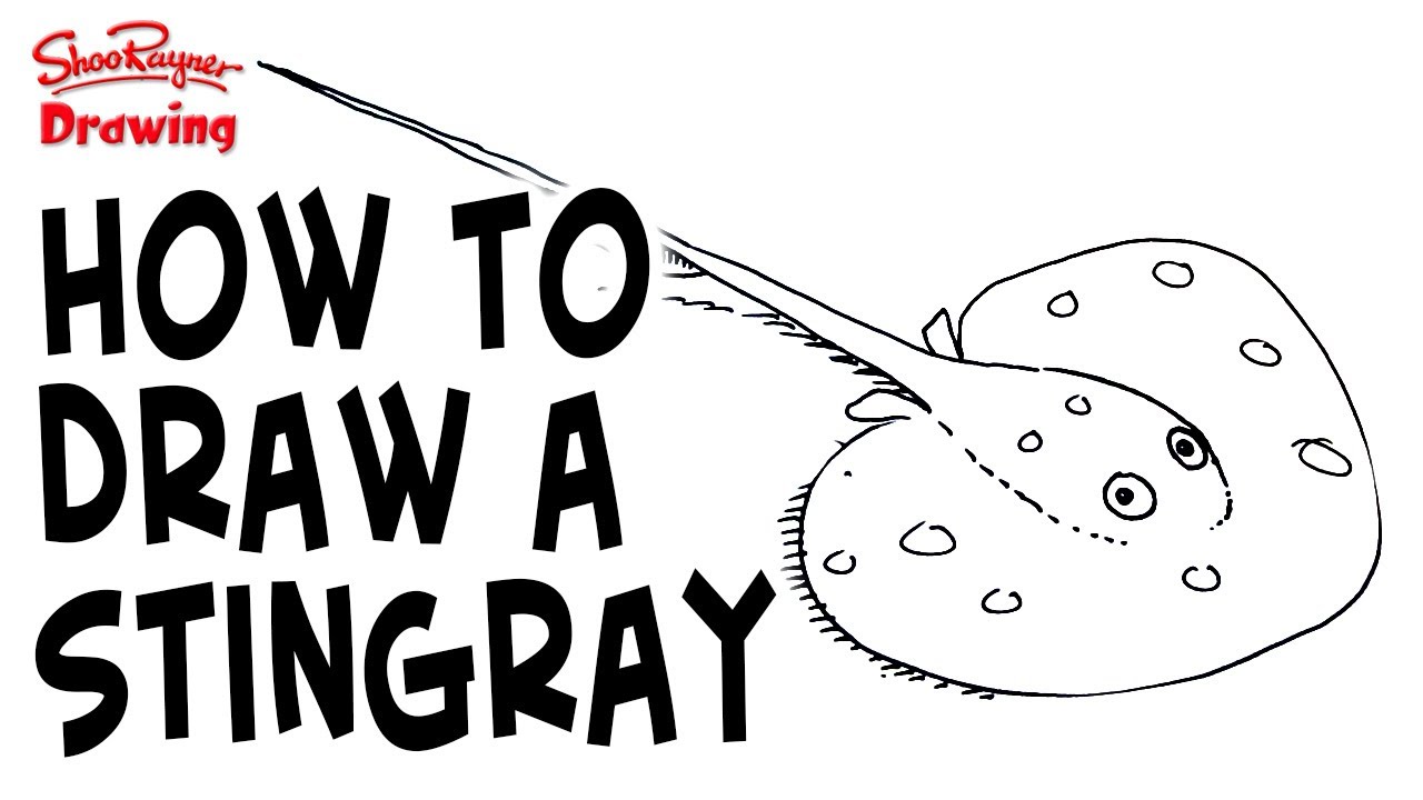 1280x720 How To Draw A Stingray - Stingray Sketch