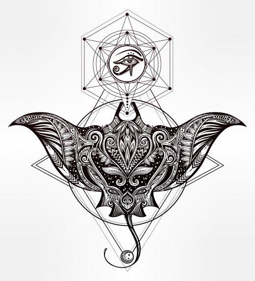 520x572 Stingray Tattoo Design Ideas Tatring - Stingray Sketch
