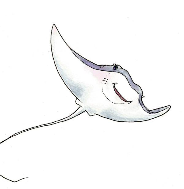 Stingray Sketch at Explore collection of Stingray