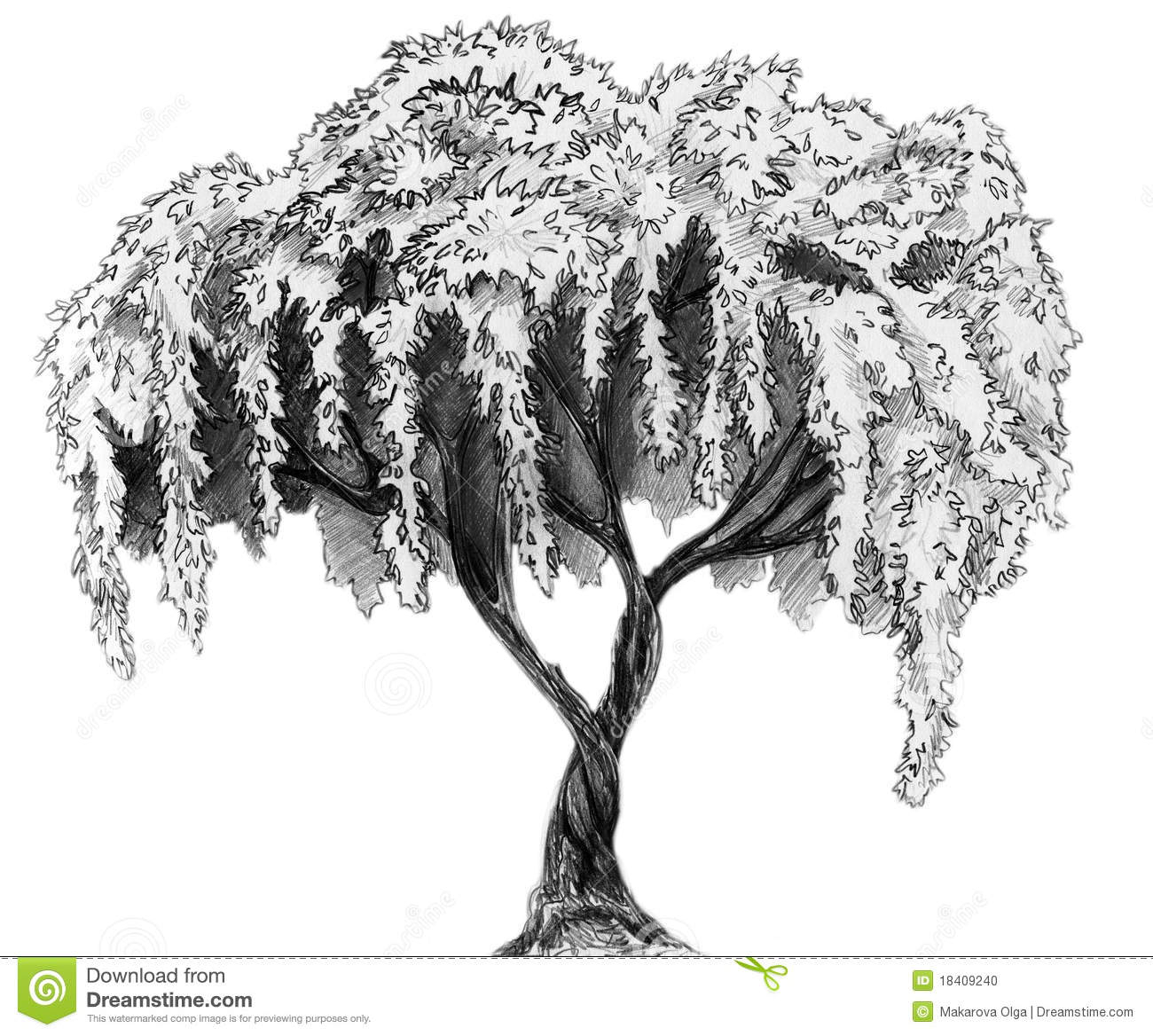 1300x1168 Pencil Sketch Trees Trees Sketches Pencil Sakura Tree - Stock Sketches