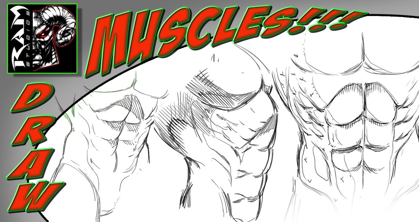 1358x720 Drawing Stomach Muscles - Stomach Sketch