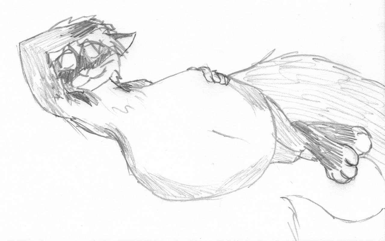 1280x800 Substantial Stomach (Sketch) By Wesleyfoxx - Stomach Sketch