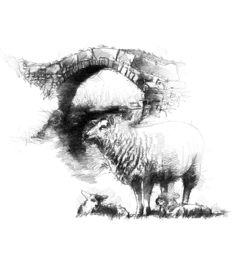 918x1024 Sheep Bridge - Stone Bridge Sketch