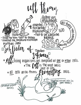 272x350 Cell Theory Sketch Notes By I Stop For Uaa Teachers Pay Teachers - Stop Sketch