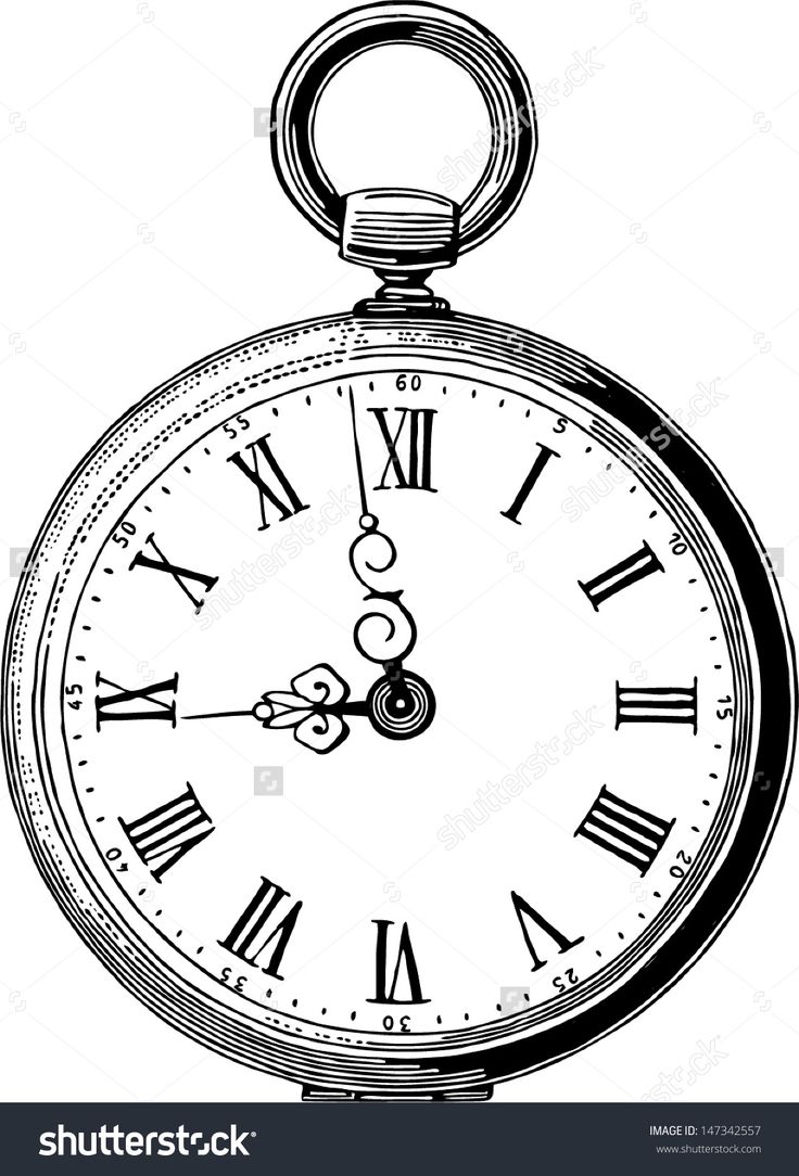 736x1084 Alice In Wonderland Clipart Stopwatch - Stopwatch Sketch