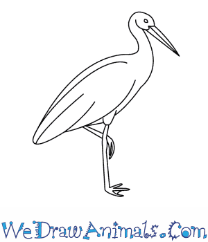 300x350 How To Draw A Stork - Stork Sketch