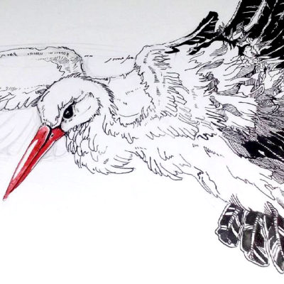 400x400 Sketch Art, Pencil Drawings Tag Stork Archives - Stork Sketch