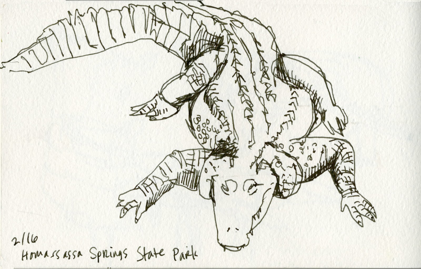 1600x1021 Stork Sketches - Stork Sketch