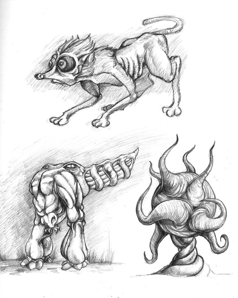 800x1002 Strange Animal Sketches - Strange Sketches