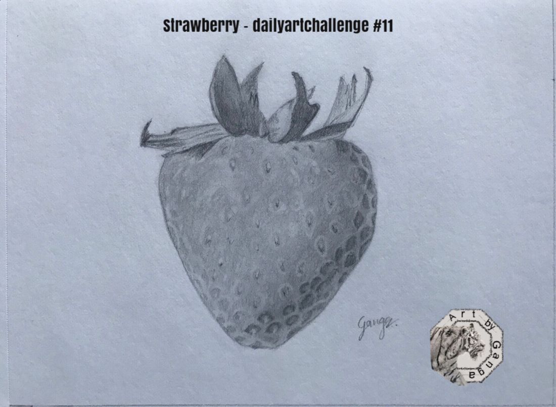1100x806 Daily Art Challenge - Strawberry Pencil Sketch