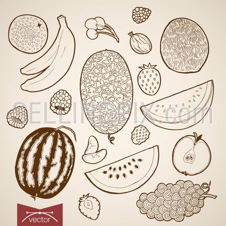 450x450 Engraving Vintage Hand Drawn Vector Fruit Collection. Pencil - Strawberry Pencil Sketch