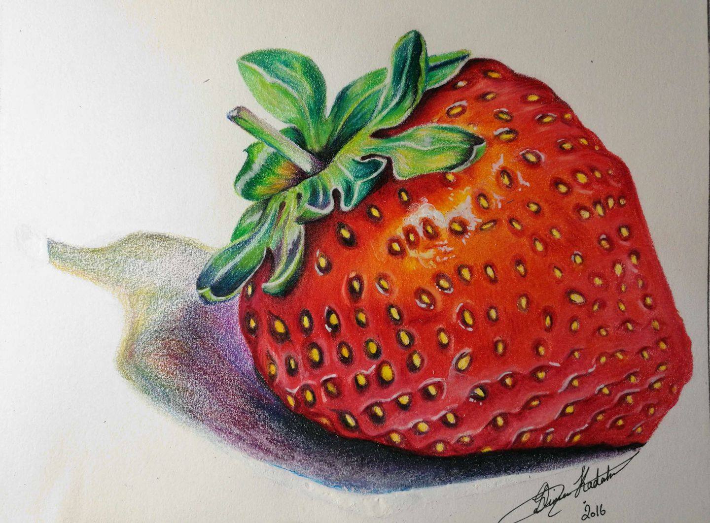 1440x1062 Featured Student Artworks 30th Jan 2017 - Strawberry Pencil Sketch