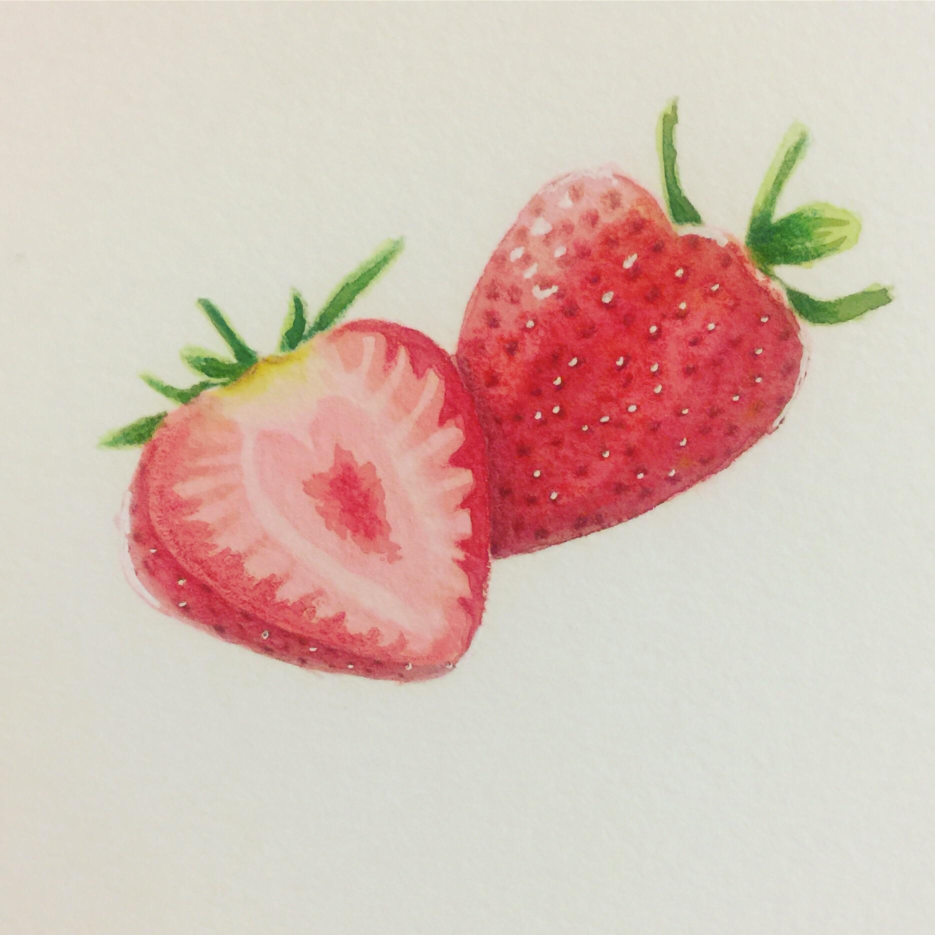 1870x1870 Finally Starting To Get Over My Fear Of Color. Starting With A - Strawberry Pencil Sketch