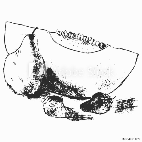 500x500 Fruits Melon, Pear, Strawberry, Pencil Sketch - Strawberry Pencil Sketch