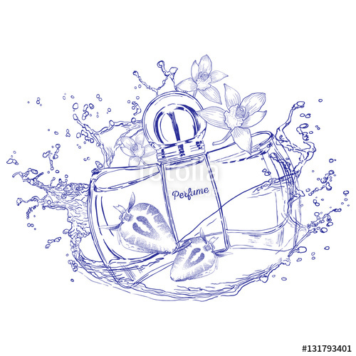 500x500 Perfume For Women With Light Notes Of Vanilla And Strawberry. The - Strawberry Pencil Sketch
