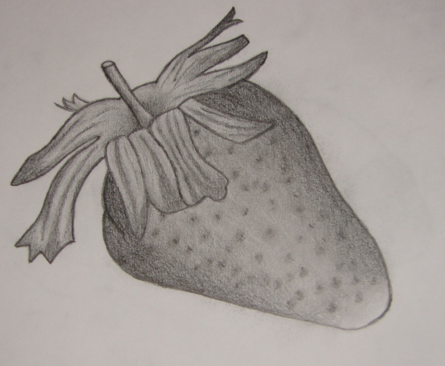 900x740 Strawberry Sketch By Yobanda - Strawberry Pencil Sketch