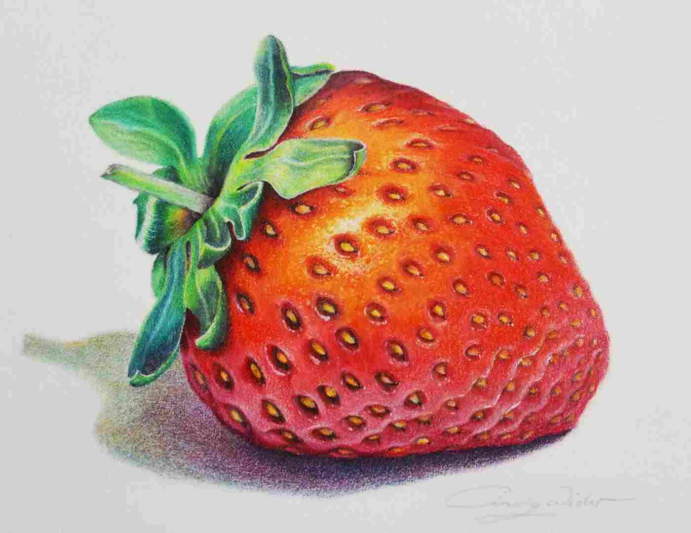 1400x1081 Orange Fruit Pencil Drawing Arusty South - Strawberry Pencil Sketch