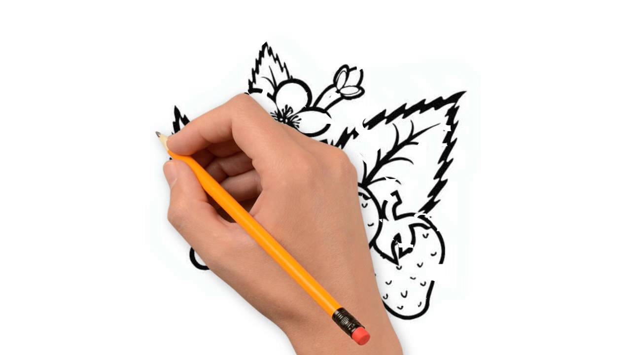 1280x720 Strawberry Nature Pencil To Draw Step By Step - Strawberry Pencil Sketch
