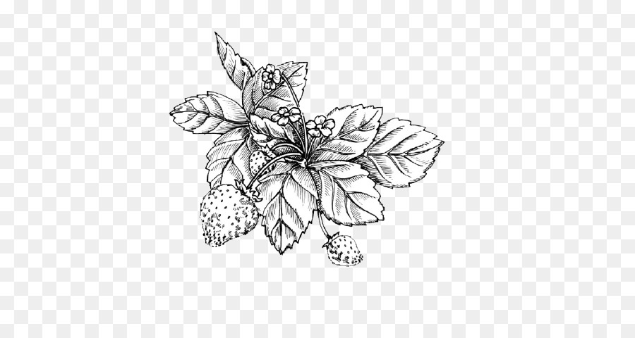 900x480 Shortcake Wild Strawberry Drawing Sketch - Strawberry Shortcake Sketch