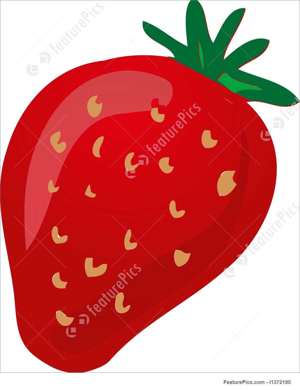 1046x1360 Strawberry Sketch Illustration - Strawberry Sketch