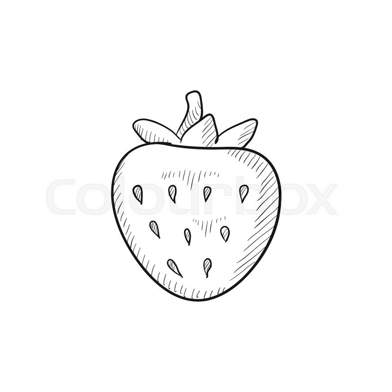 800x800 Strawberry Vector Sketch Icon Isolated On Background. Hand Drawn - Strawberry Sketch