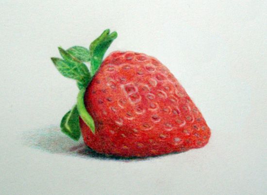 550x402 Strawberry Sketch Detail Plants And Animals Drawing - Strawberry Sketch