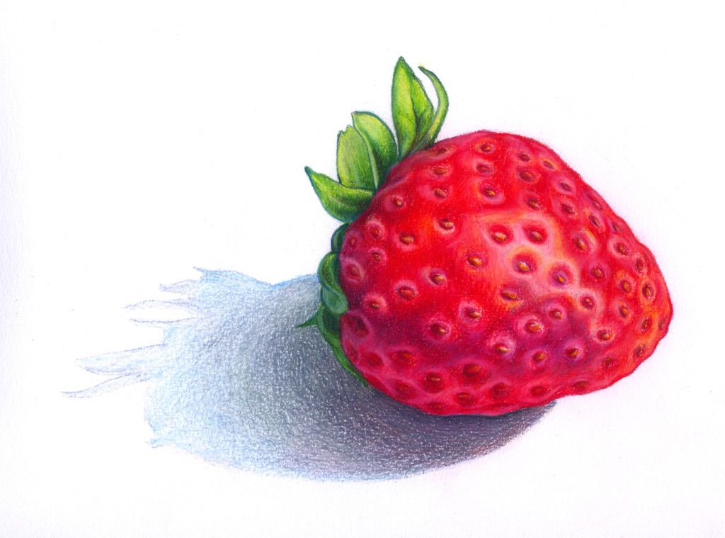 1024x759 Drawn Strawberry Color Pencil - Strawberry Sketch
