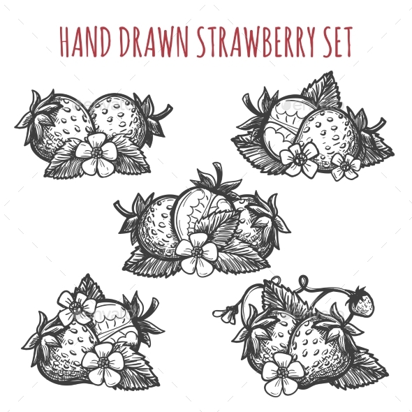 590x590 Strawberry Sketch Icons Set By Vectortatu Graphicriver - Strawberry Sketch Images