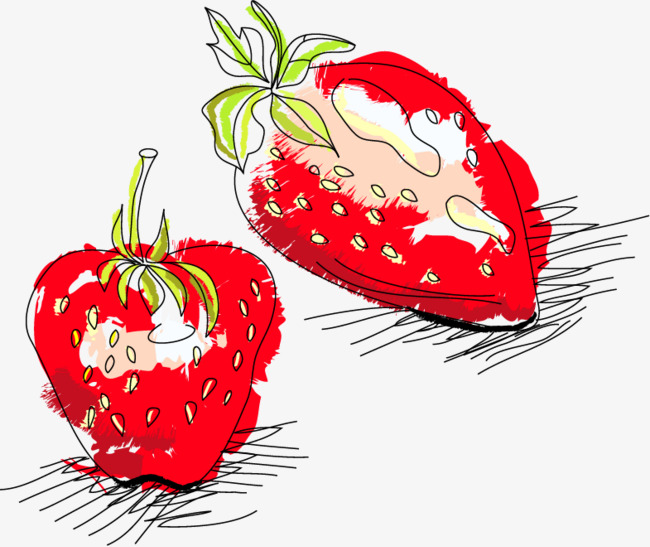 650x547 Strawberry Sketch Vector Material Png, Vector, Vector Material - Strawberry Sketch Images