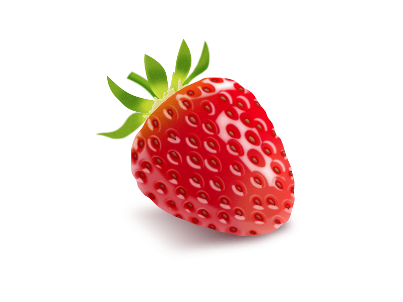800x600 Strawberry Sketch Freebie - Strawberry Sketch Images