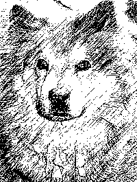 200x265 Photoshop Tips Turning Photo Into Sketch - Stroke Sketch