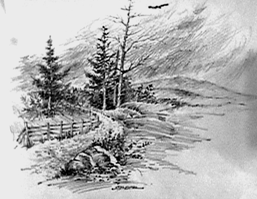 500x388 Pencil Broadside Sketching [Archive] - Stroke Sketch