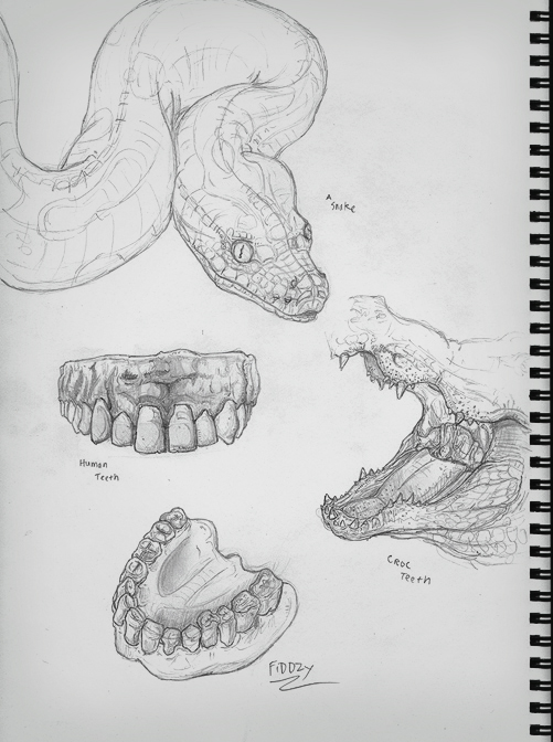 501x672 Human Anatomy Study Fiddzydesign - Study Sketch