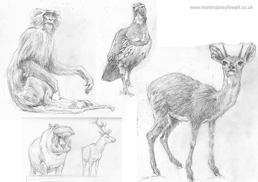 900x636 Uk Artist Martin Davey, Art, Oil, Acrylic Painting Portfolio - Stuffed Animal Sketch