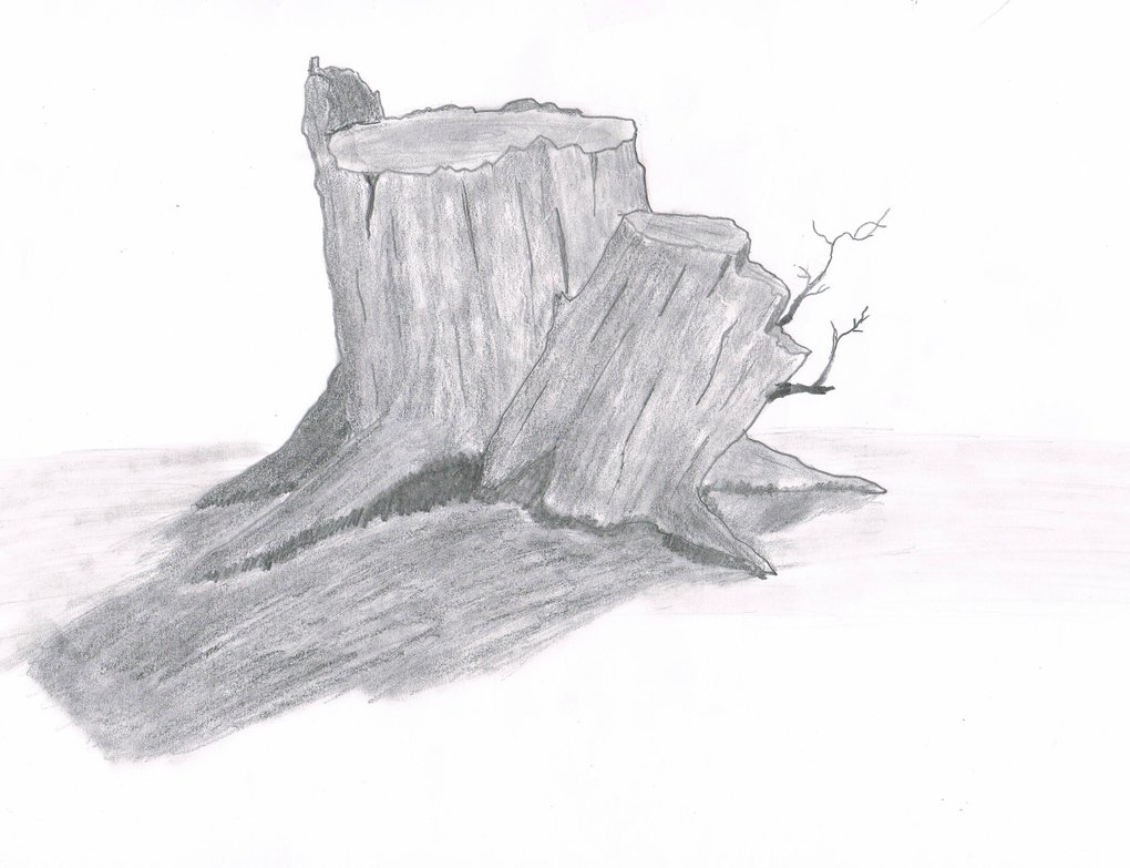 1020x783 Tree Stump Sketch By Steelbattalion1 - Stump Sketch