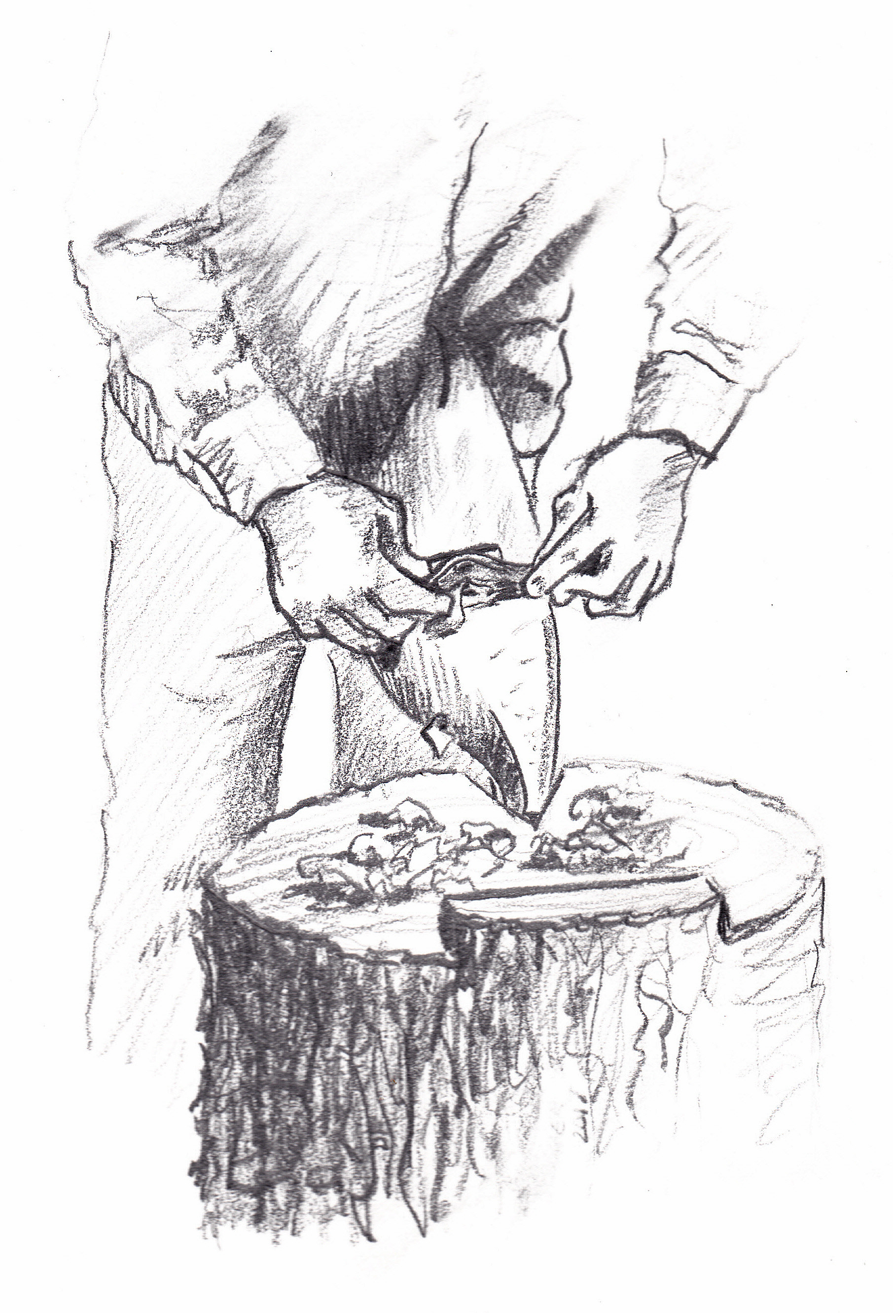 1811x2661 Spokeshave - Stump Sketch