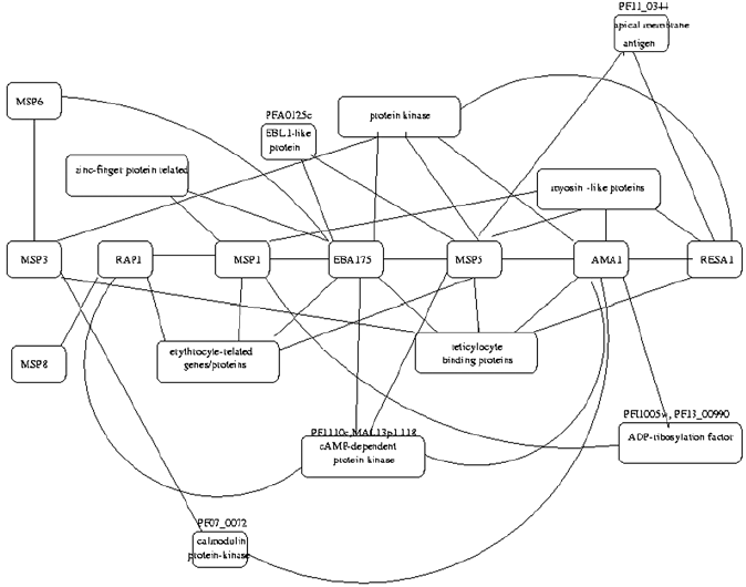 674x530 Sketch Of A Sub Network Of Seven Major Malaria Vaccine Candidates - Sub And Sketch