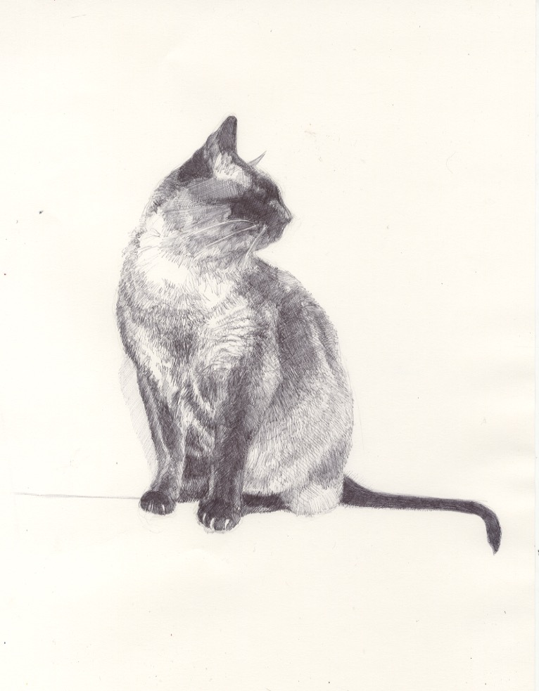 766x983 Suburban Sketches - Suburban Sketches