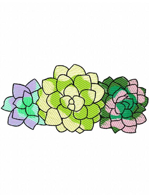 489x640 3 Succulent Water Color Sketch Embroidery Design - Succulent Sketch