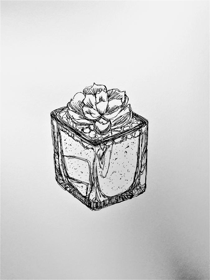 675x900 Succulent Pen Sketch Drawing By Alyssa Norby - Succulent Sketch