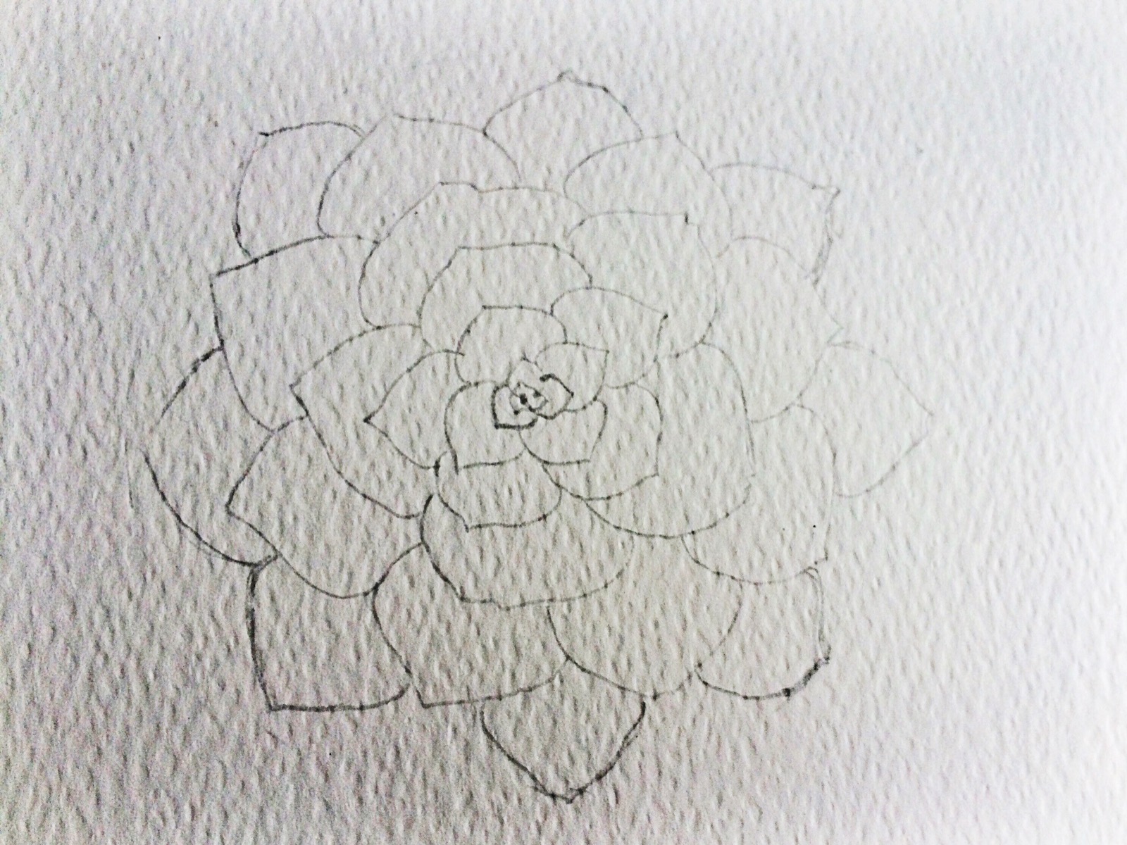 1600x1200 Watercolor Succulent Tutorial - Succulent Sketch