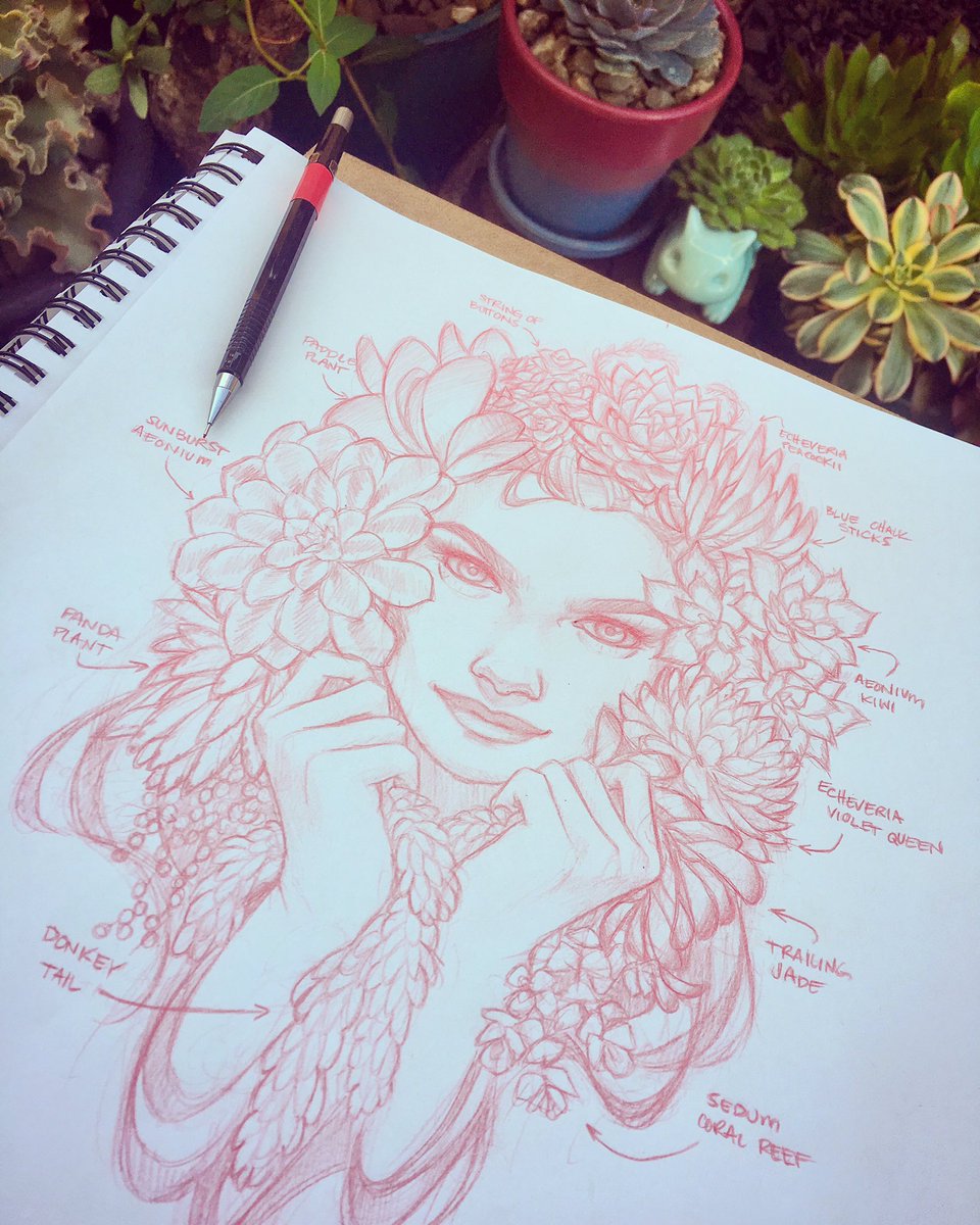 960x1200 Glenn Arthur On Twitter Succulent Sketching In The Garden With - Succulent Sketch